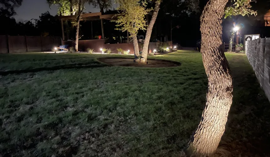 Landscape lighting installation illuminating a mature tree and planting beds in Austin, TX