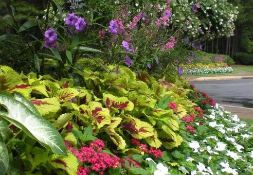 Beautiful Garden Landscape Design