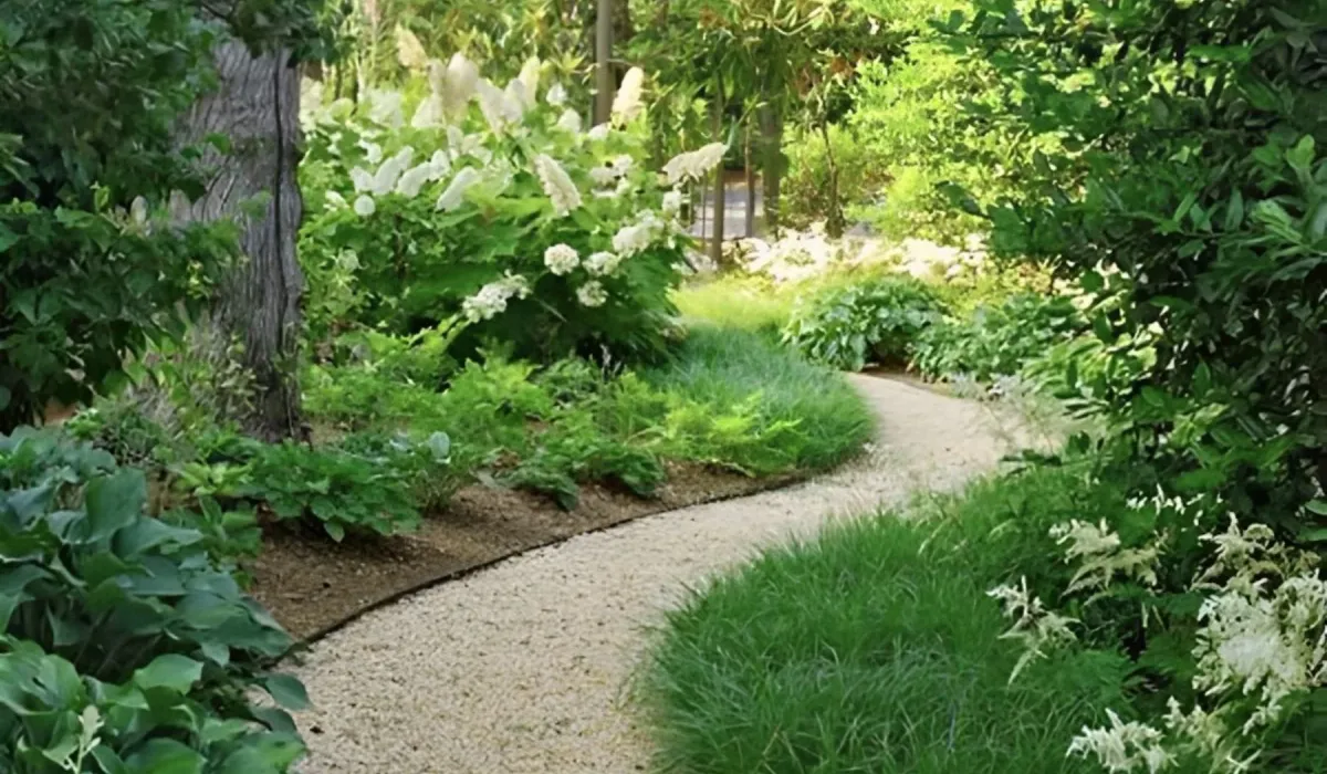 Austin's Guide To Eco-Friendly Outdoor Design