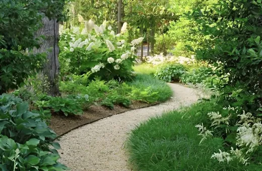 Austin's Guide To Eco-Friendly Outdoor Design
