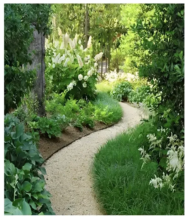 Why Austin's Native Plants Are A Landscaping Game-Changer