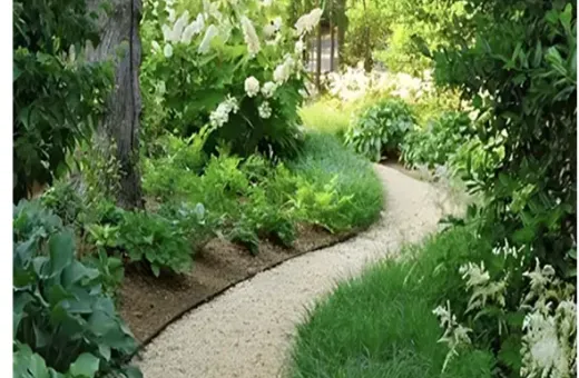 Why Austin's Native Plants Are A Landscaping Game-Changer