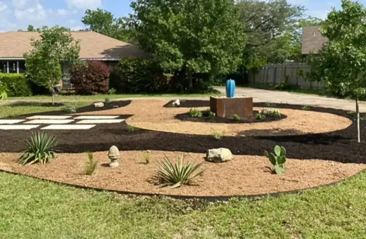 Best Native Plants for Austin Gardens This Spring