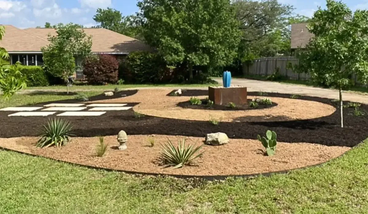 Best Native Plants for Austin Gardens This Spring