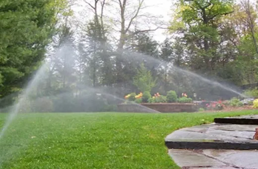 Commercial Landscape Services: A Peek Into Expertise