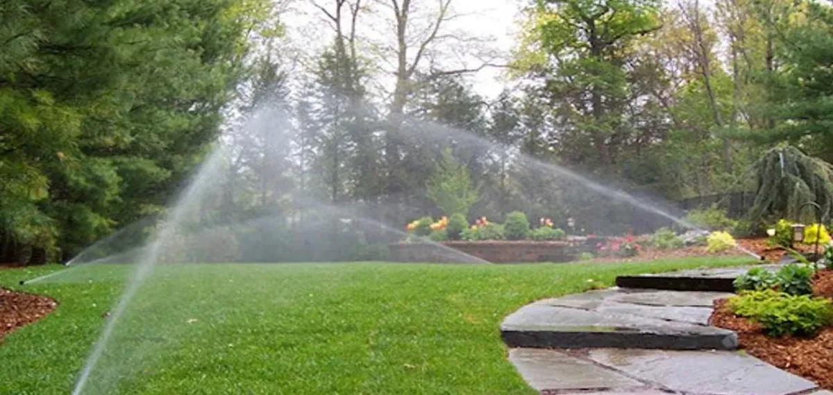 Commercial Landscape Services: A Peek Into Expertise
