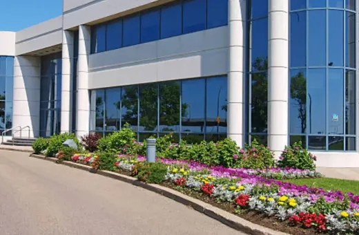 Commercial Landscaping in Austin: Enhancing Business Curb Appeal