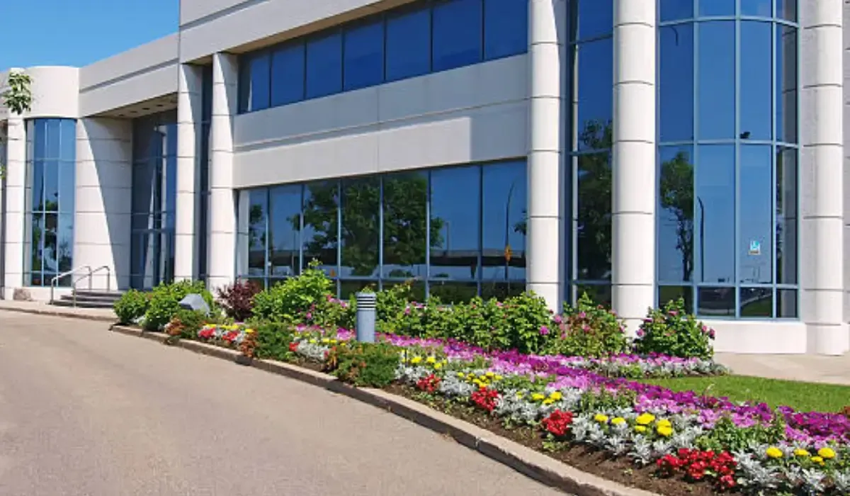 Commercial Landscaping in Austin: Enhancing Business Curb Appeal
