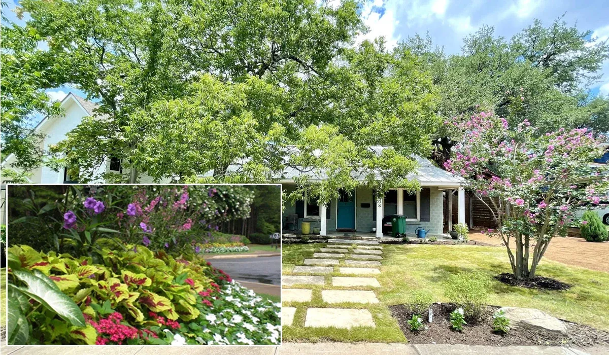 Front Yard Landscaping: Striking A Balance Between Cost And Value