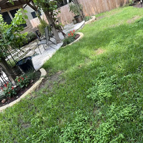 Violet Crown landscape design and hardscaping project