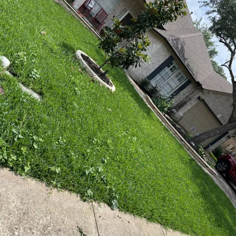 Violet Crown landscape design and hardscaping project