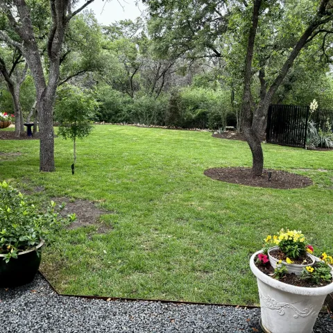 Violet Crown landscape design and hardscaping project