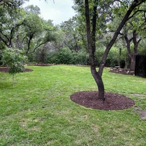 Violet Crown landscape design and hardscaping project