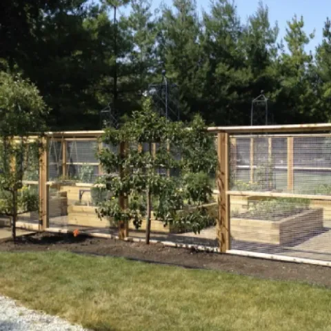 Violet Crown landscape design and hardscaping project