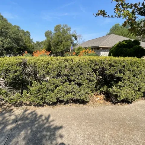 Violet Crown landscape design and hardscaping project