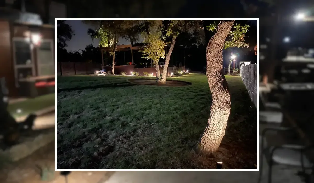 The Importance of Landscape Lighting in Austin's Outdoor Spaces