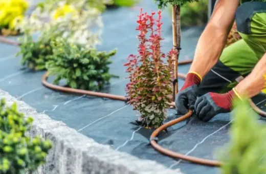 How to Keep Your Austin Lawn Green with Smart Irrigation Systems