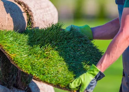 Irrigation Systems and Rainwater Collection