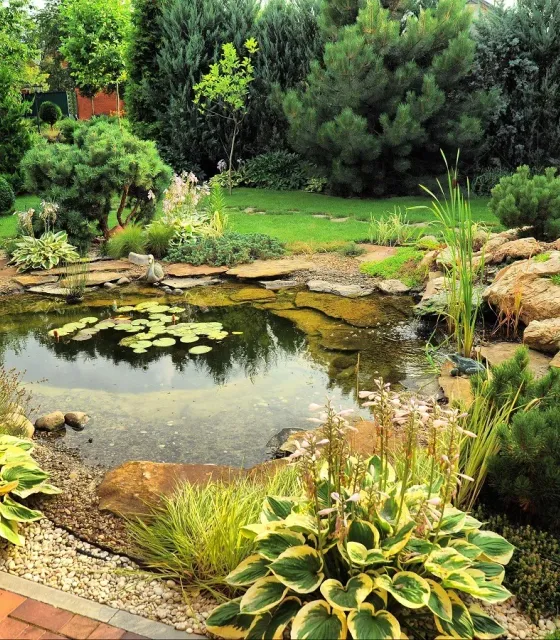 Custom landscaping water feature by Violet Crown