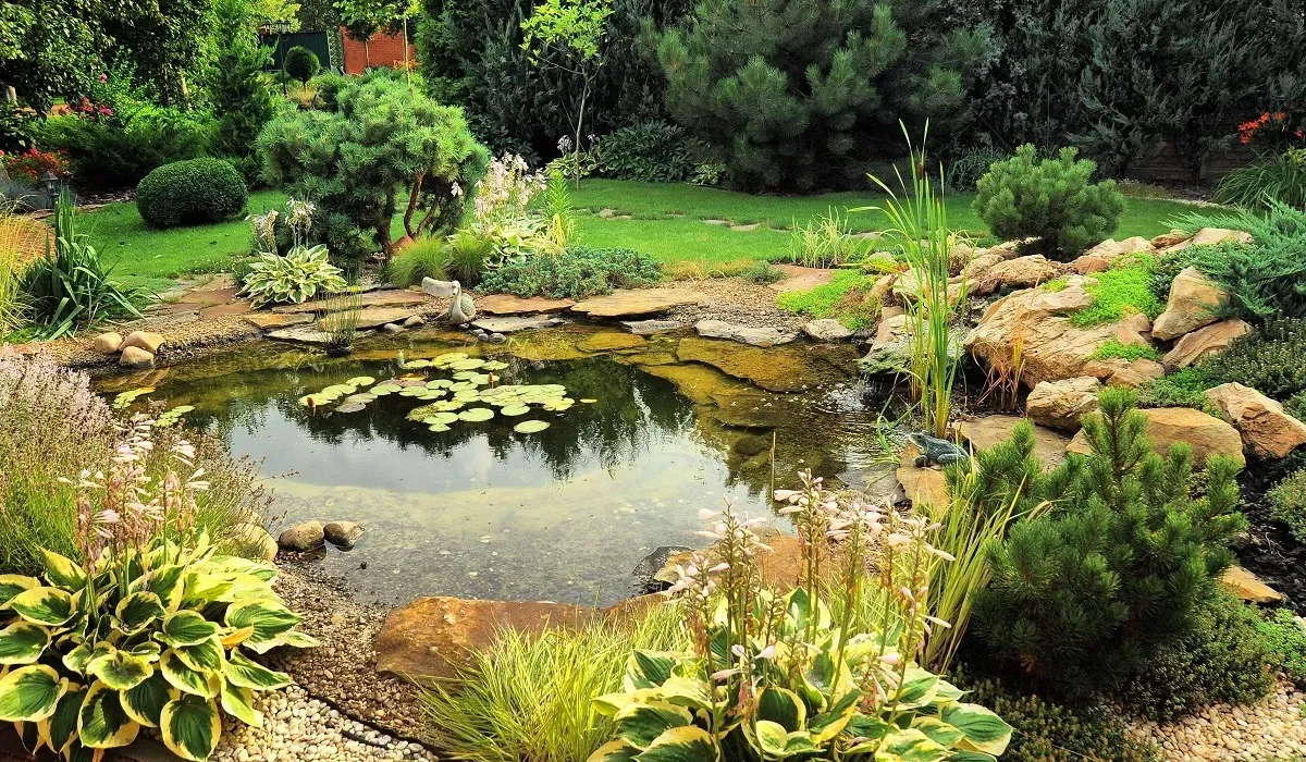 Maximize Your Space: Small Ponds And Water Features In Austin Backyards