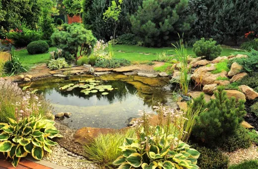 Maximize Your Space: Small Ponds And Water Features In Austin Backyards