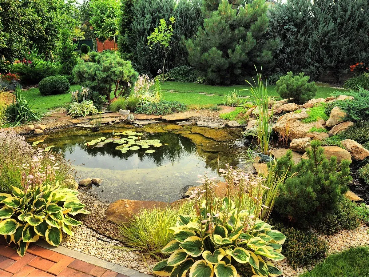 Custom garden pond with lily pads and natural stone edging in an Austin backyard