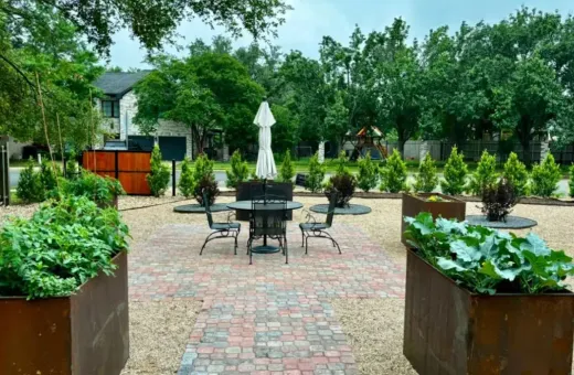 Smart Landscaping Strategies to Beat Austin’s Water Restrictions