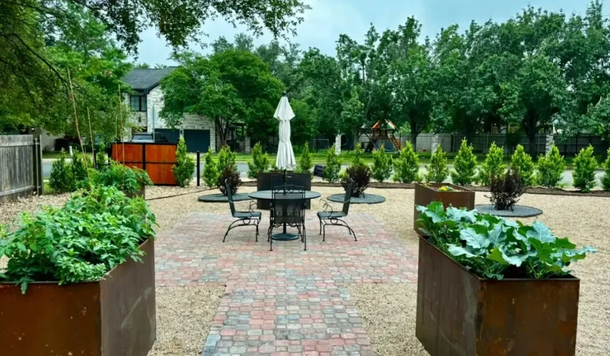 Smart Landscaping Strategies to Beat Austin’s Water Restrictions
