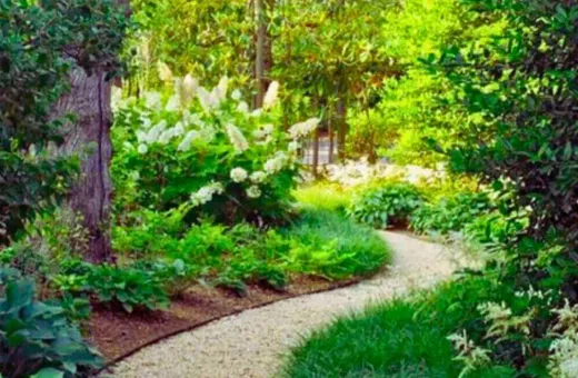 Sustainable Garden Landscaping: Austin Home Environmental Designs