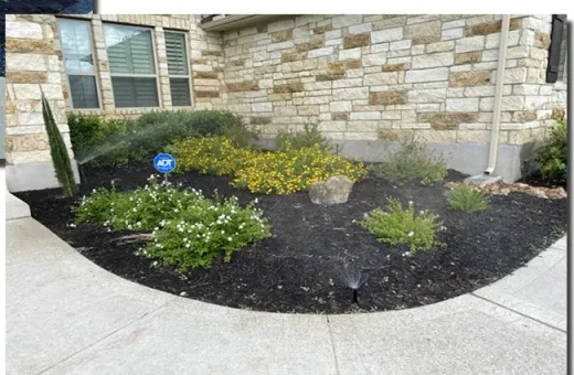 Sustainable Landscaping Austin: Eco-Friendly Garden Designs