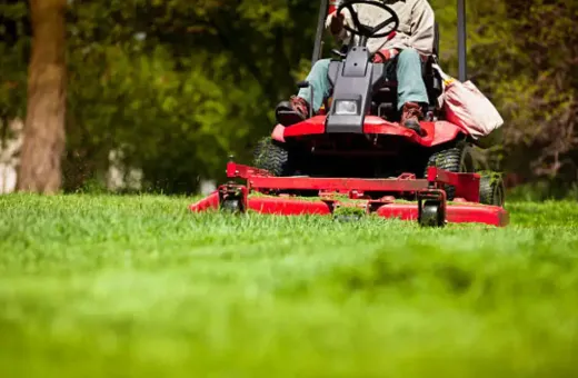 Top Benefits of Professional Landscape Maintenance in Austin