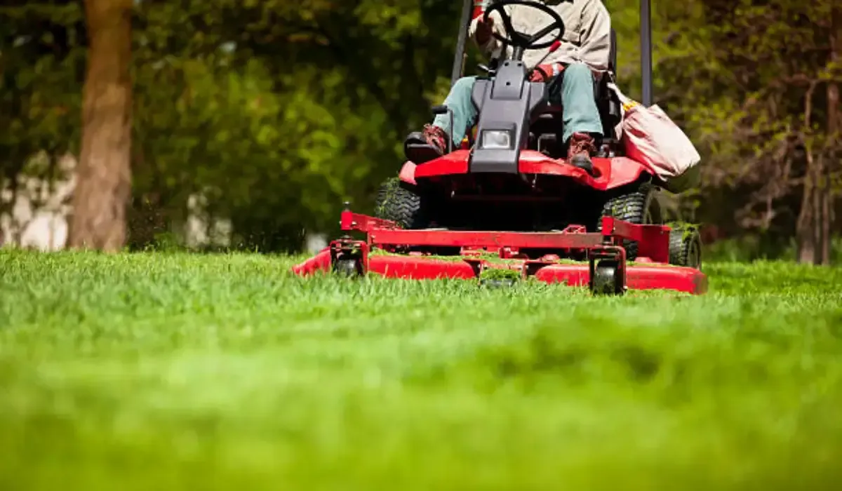 Top Benefits of Professional Landscape Maintenance in Austin