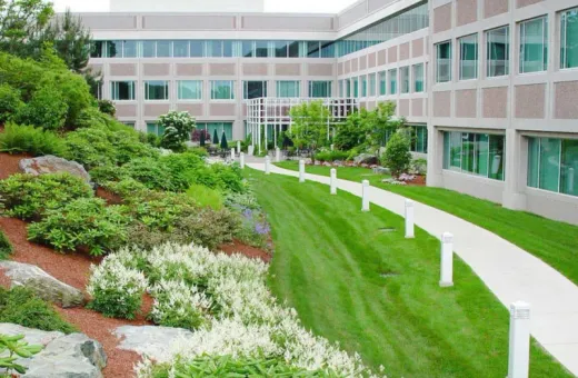 Top Local Landscape Companies: Austin Commercial Landscaping Solutions