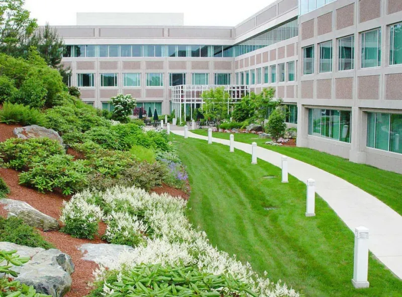 Top Local Landscape Companies: Austin Commercial Landscaping Solutions