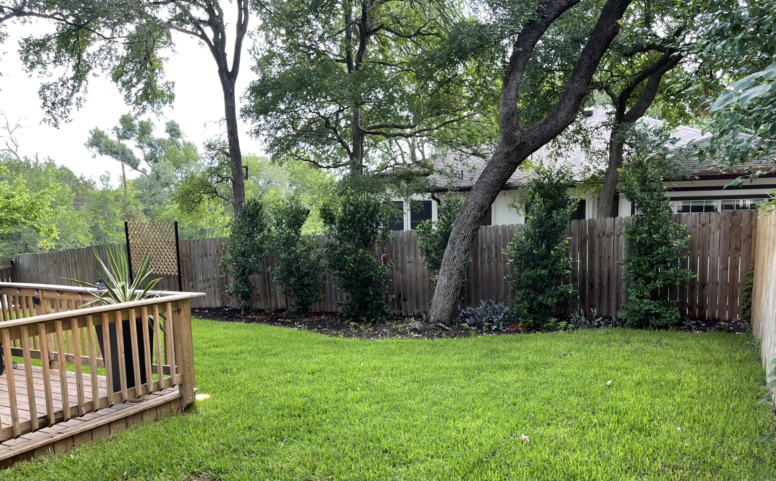 backyard-landscaping