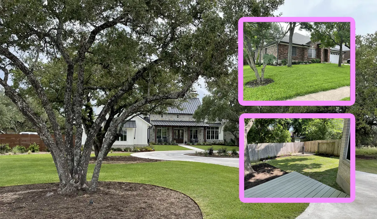 Residential lawns in Austin. Top-quality lawn maintenance for homeowners.