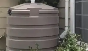 rain barrels for water conservation