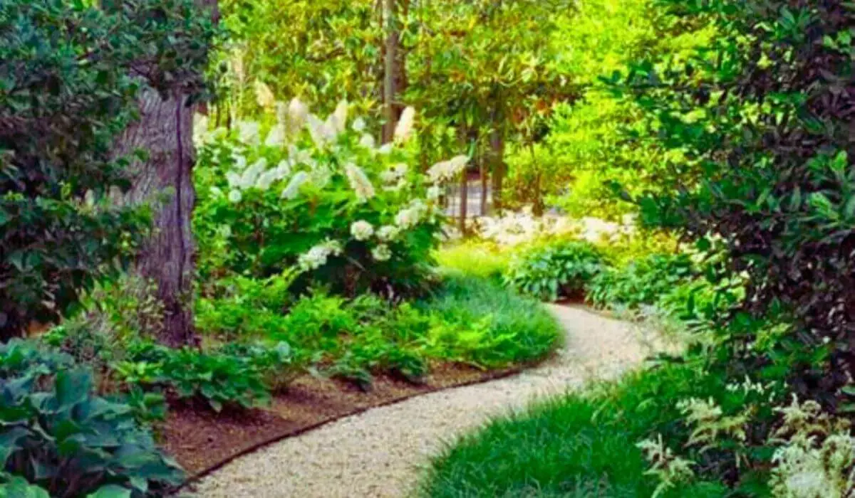 Sustainable garden landscaping with a winding path and native plants, highlighting water-saving garden ideas and eco-friendly landscaping.