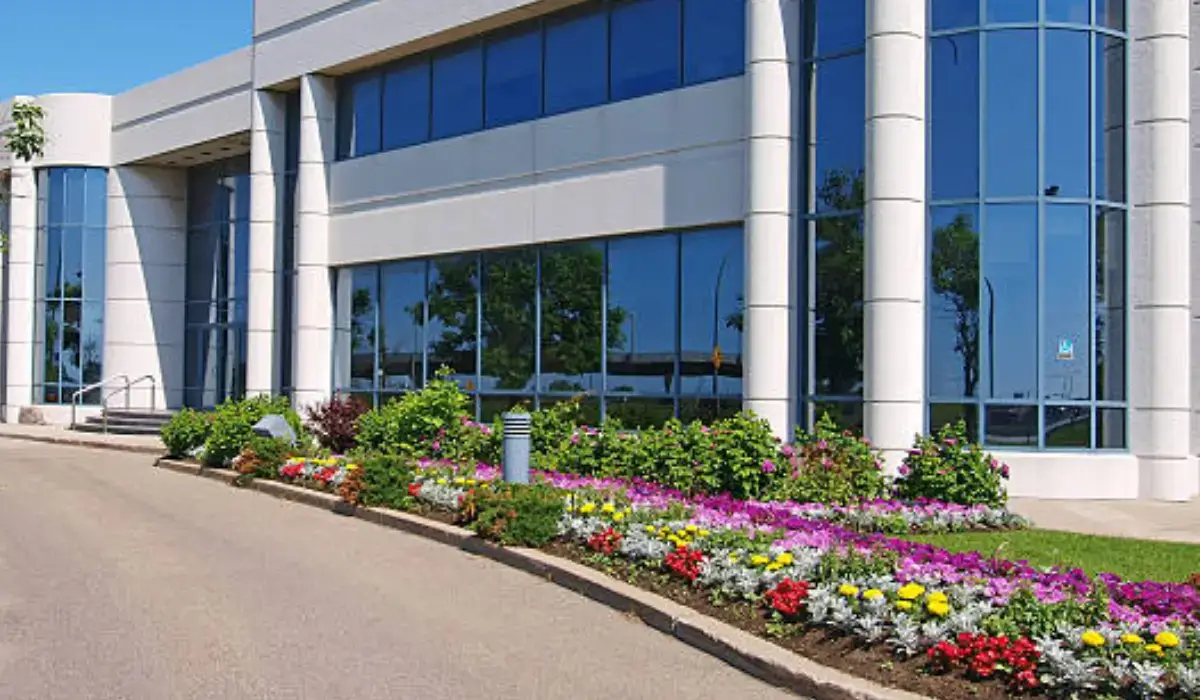Modern commercial property with colorful flower beds, vibrant greenery, and professional landscaping design in Austin.