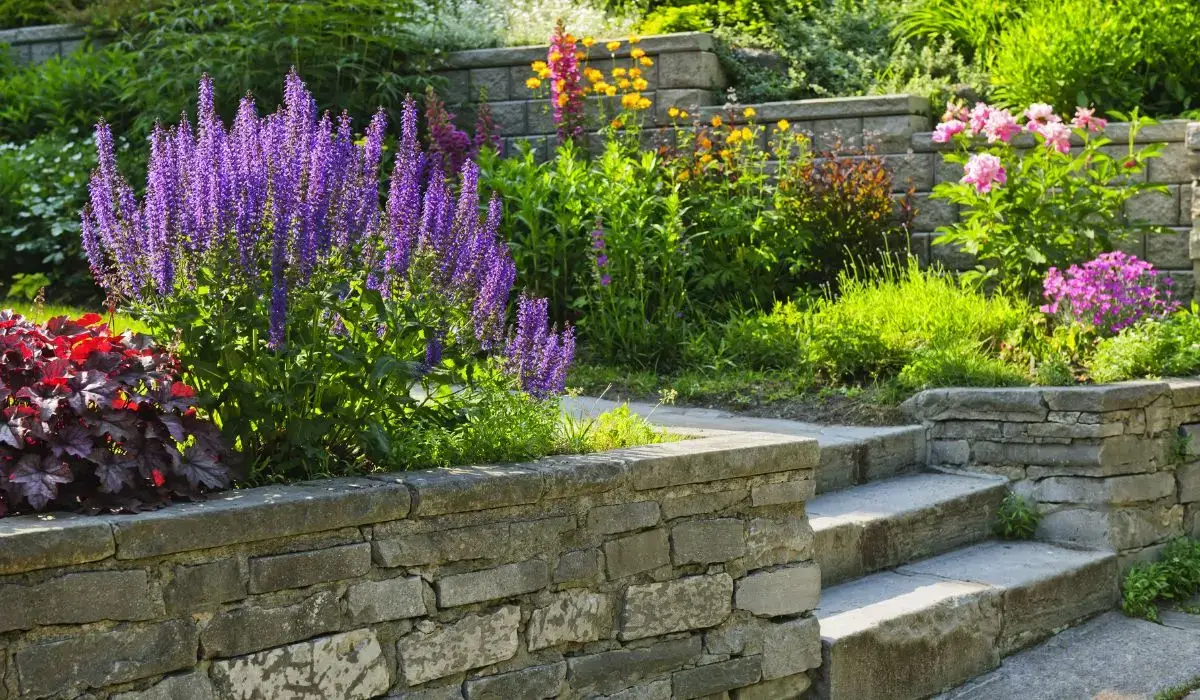 Stone steps with drought-resistant plants and hardscaping showcasing low-maintenance landscaping ideas for Austin yards.