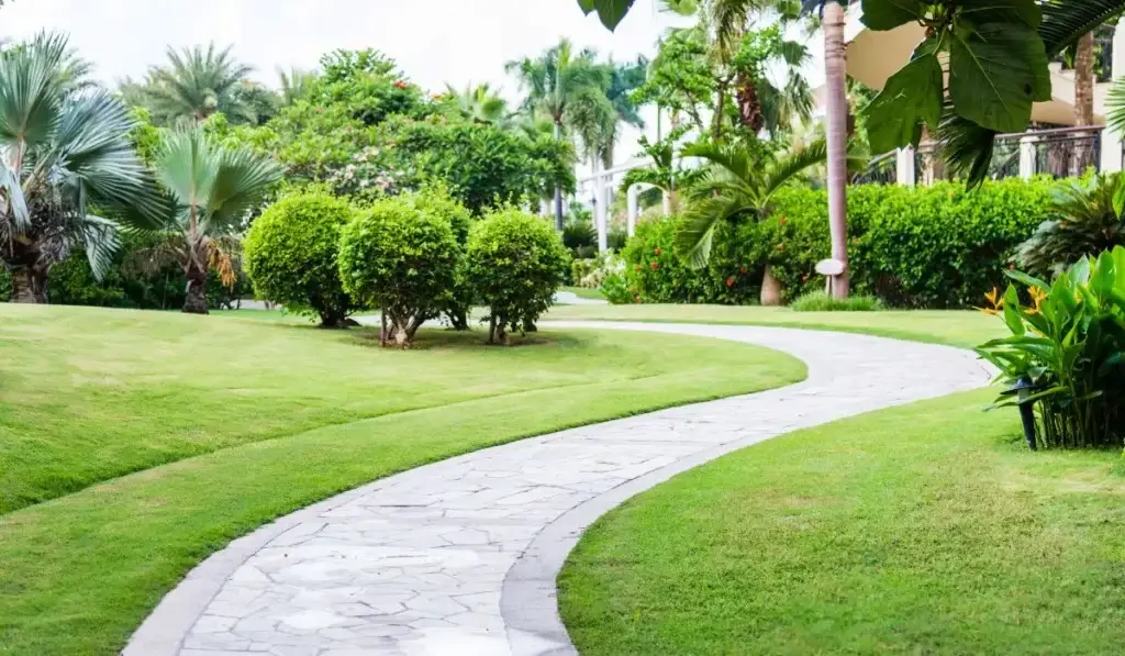 Curved stone walkway through a landscaped yard illustrating differences in concrete driveways vs. pavers for Austin.