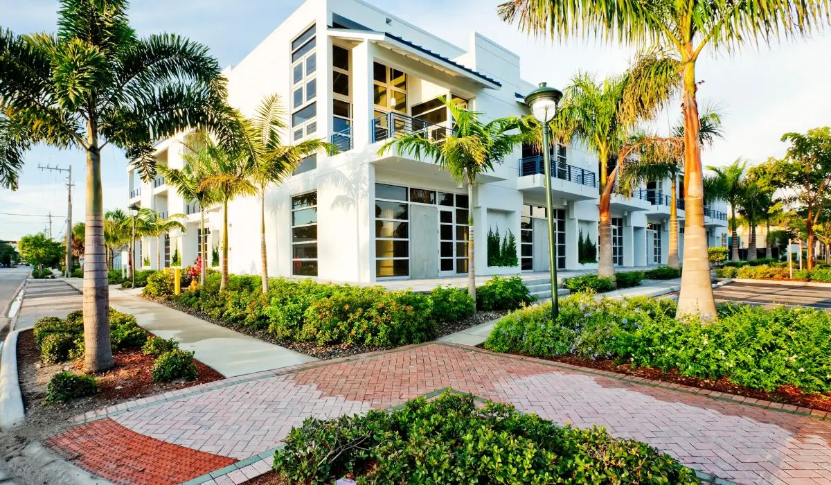 Commercial landscape design featuring modern building, palm trees, and clean walkways to reinforce brand identity.