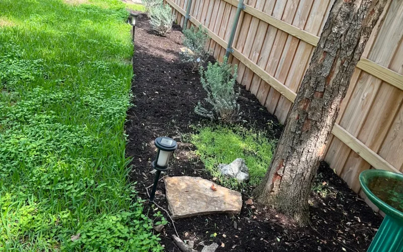 A well-maintained, lush green landscape featuring neatly trimmed hedges and vibrant flowers at a residential property in Austin, designed and installed by Austin Landscaping and Design