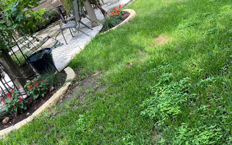 73671823459__15CA41C9-6FC2-41E5-A3F1-AD685A09D4E2