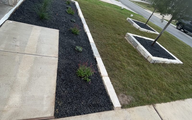 a sidewalk and a yard with plants and trees
